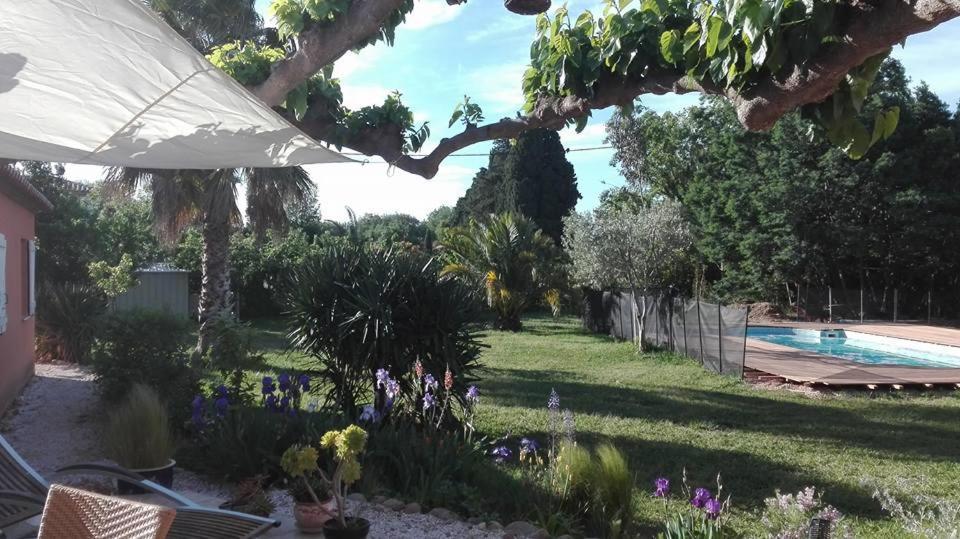 Gite Mas Uranie Le Soler Exterior photo